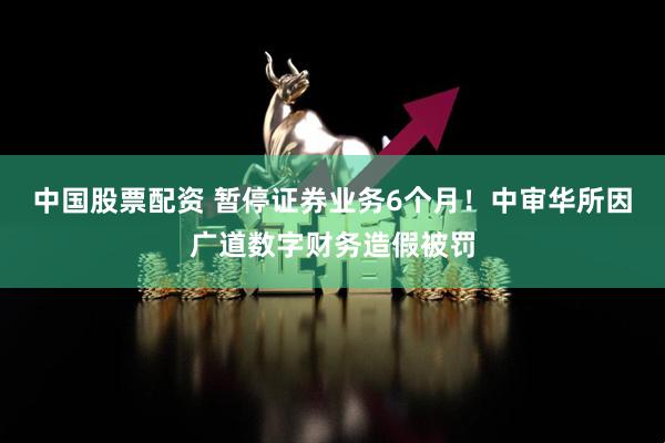 中国股票配资 暂停证券业务6个月！中审华所因广道数字财务造假被罚
